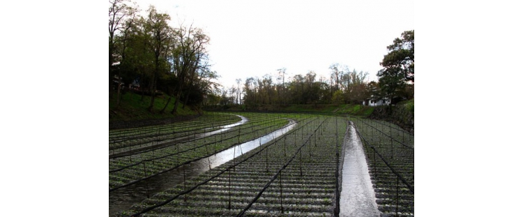 透过国外休闲农场规划 探讨开发经典案例_上海