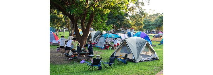 透过国外休闲农场规划 探讨开发经典案例_上海