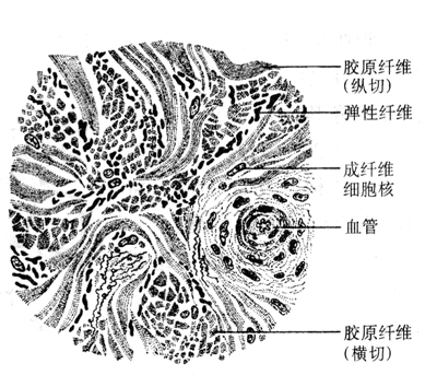 课程讲解